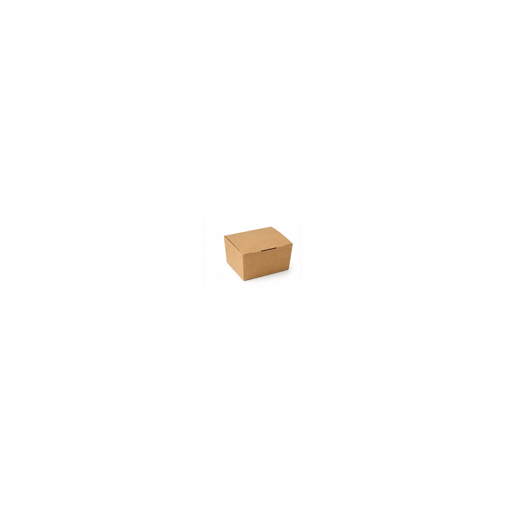 Paper Food Boxes — JC International