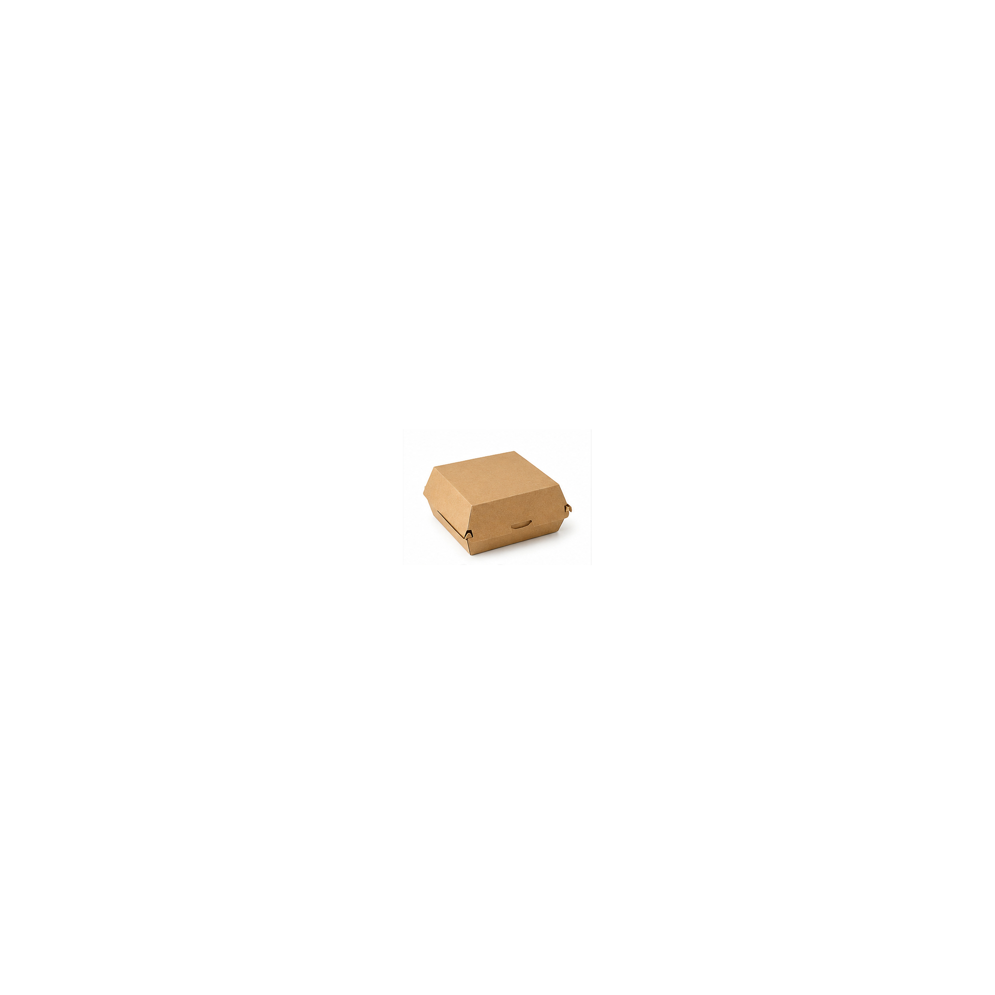 Burger Boxes