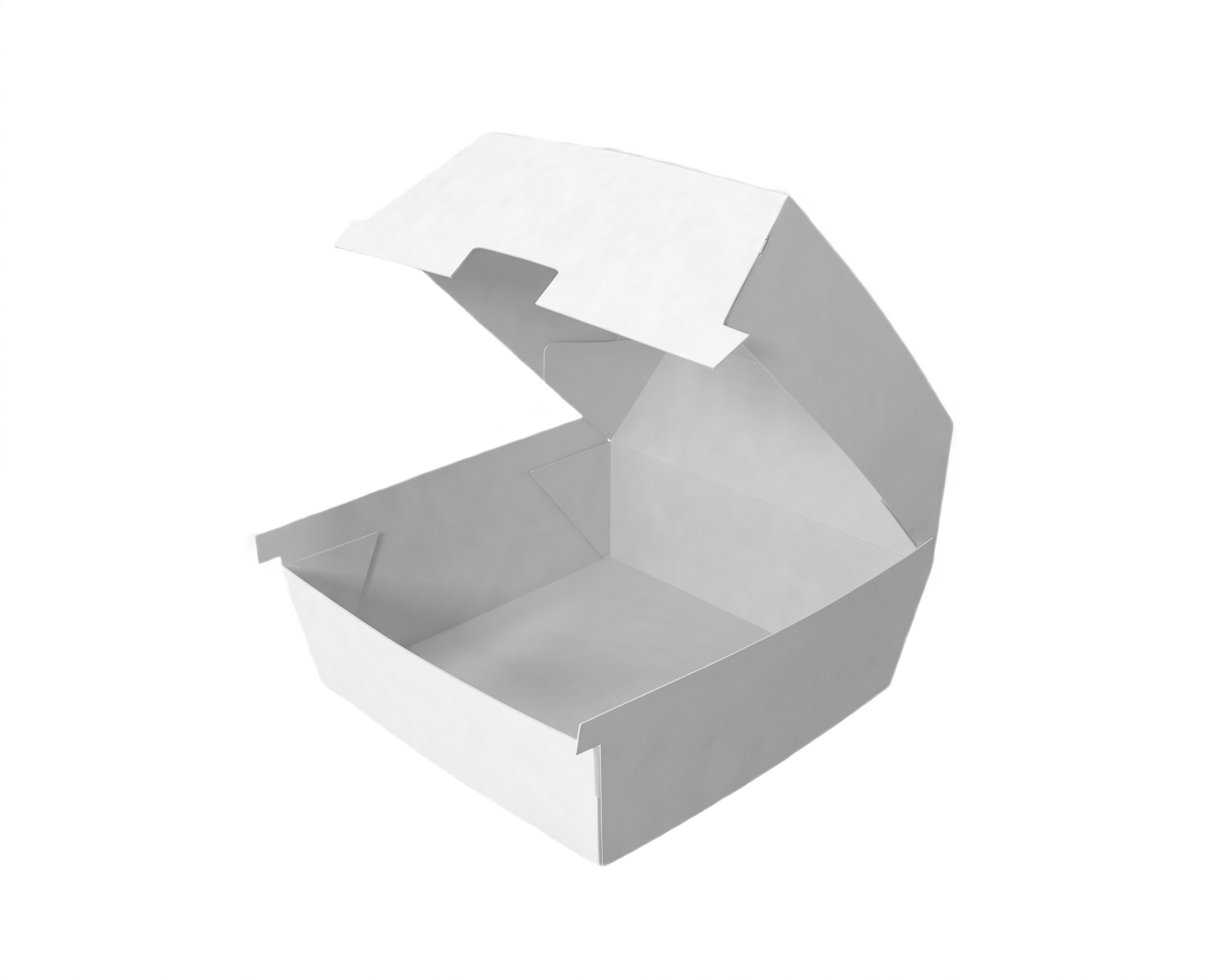 Burger Boxes